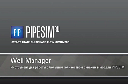 Демонстрация работы инструмента PIPESIM RU Well Manager